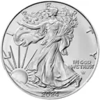 1 ounce Silver Coin - American Eagle 2024
