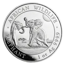 1 ounce Silver Coin - Somalia Elephant 2024