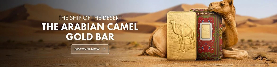 Arabian Camel