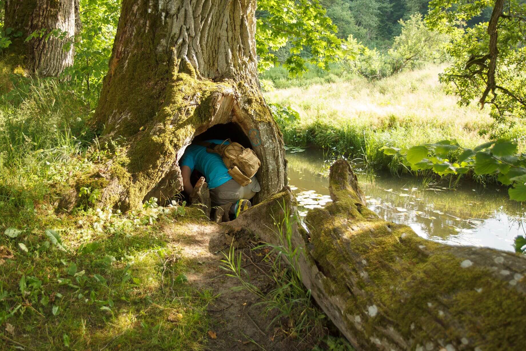 thousands of gold hunters were captivated by the mysterious hunt of Forrest Fenn’s treasure thousands of gold hunters were captivated by the mysterious hunt of Forrest Fenn’s treasure